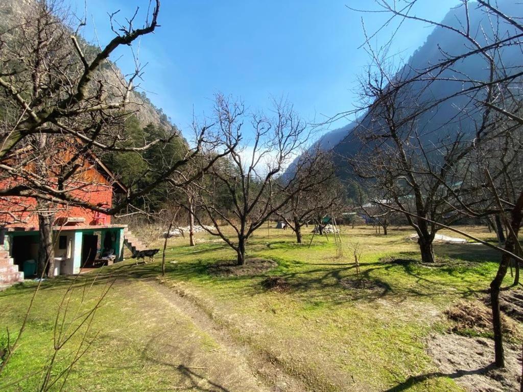 The Royal Orchard Kasol Hotel Esterno foto