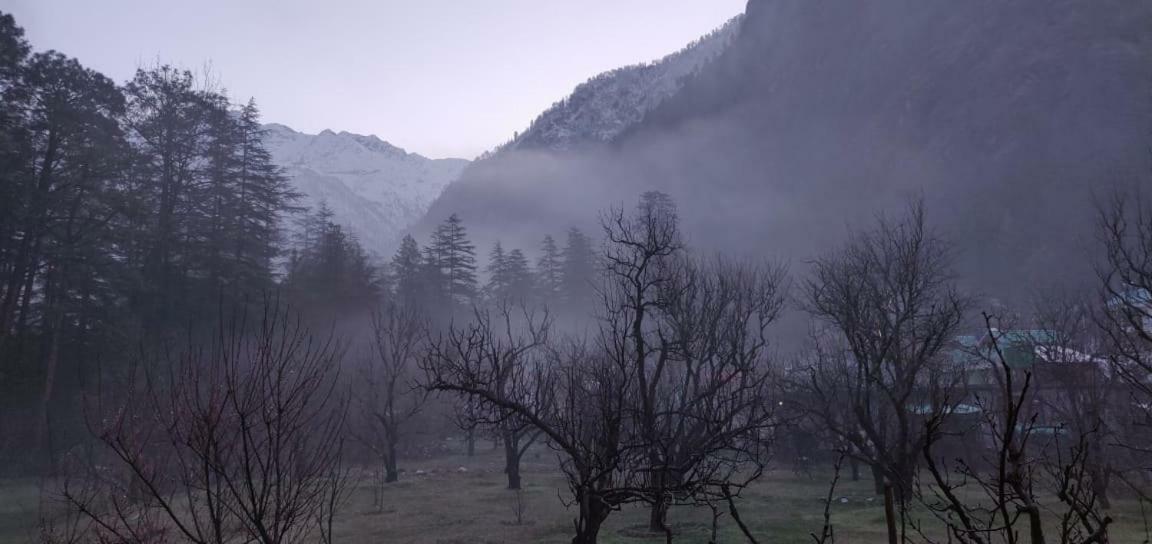 The Royal Orchard Kasol Hotel Esterno foto